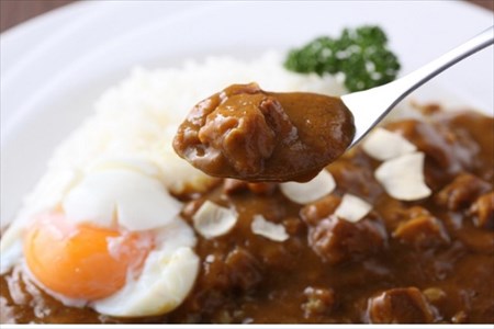 通販で購入できる本格的なカレー